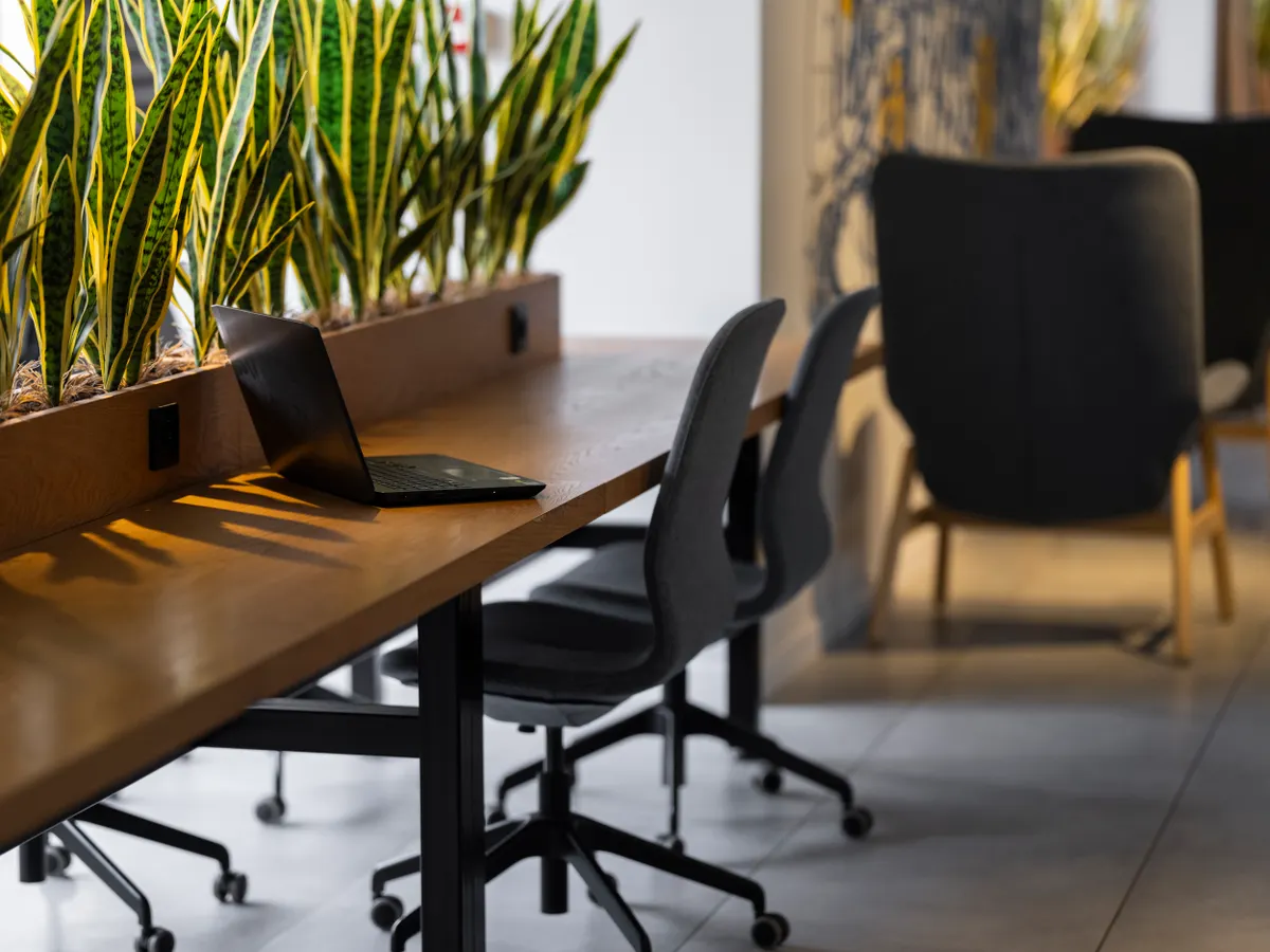 Bright office with snake plants, wooden desks and an open laptop